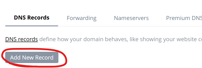 add-new-dns-record.png
